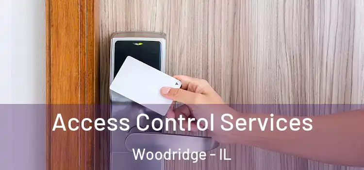  Access Control Services Woodridge - IL