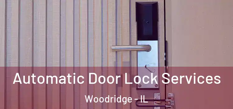  Automatic Door Lock Services Woodridge - IL