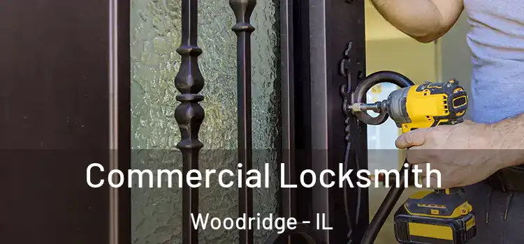 Commercial Locksmith Woodridge - IL
