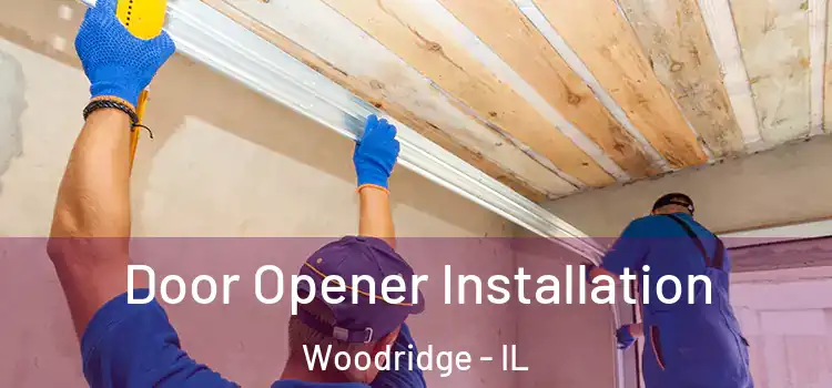  Door Opener Installation Woodridge - IL