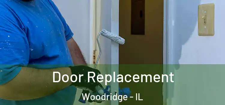  Door Replacement Woodridge - IL