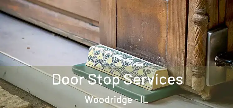 Door Stop Services Woodridge - IL