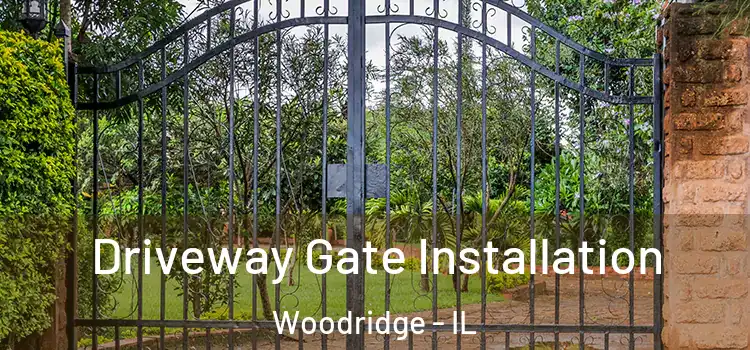 Driveway Gate Installation Woodridge - IL