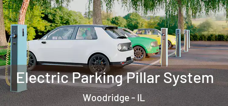  Electric Parking Pillar System Woodridge - IL