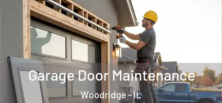  Garage Door Maintenance Woodridge - IL