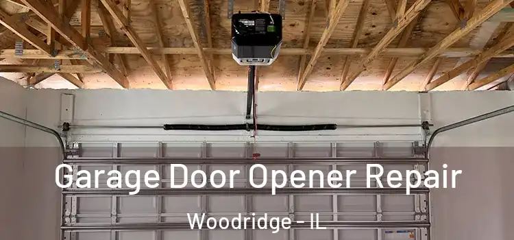  Garage Door Opener Repair Woodridge - IL