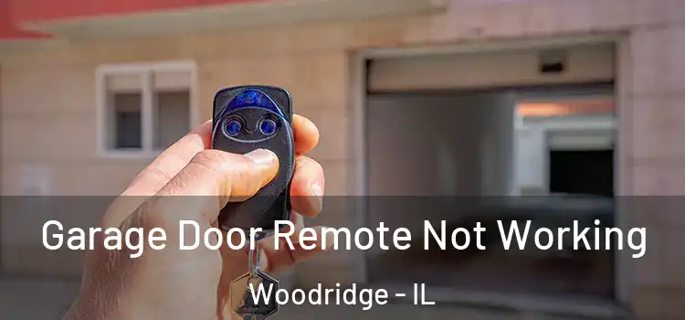  Garage Door Remote Not Working Woodridge - IL