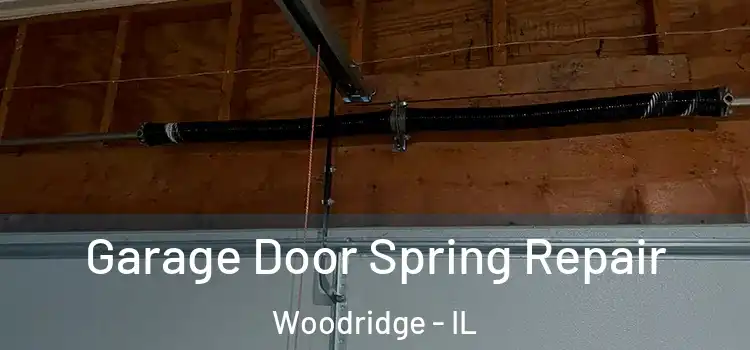  Garage Door Spring Repair Woodridge - IL