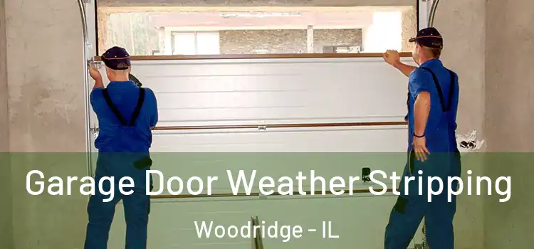  Garage Door Weather Stripping Woodridge - IL