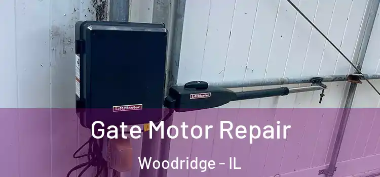  Gate Motor Repair Woodridge - IL