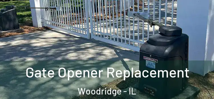 Gate Opener Replacement Woodridge - IL