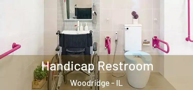  Handicap Restroom Woodridge - IL