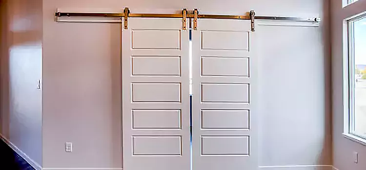 Glass Barn Door with Installation Hardware Kit Woodridge
