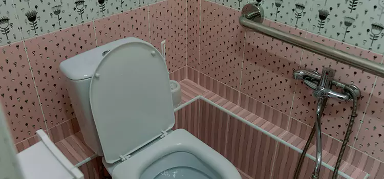 Meeting Diverse Needs With Accessible Restroom Solutions in Woodridge, IL