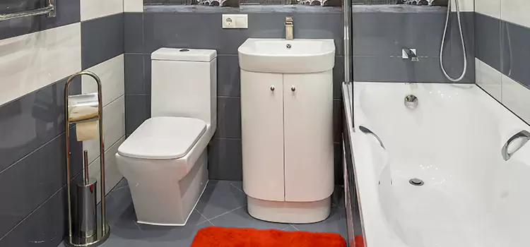 Hansgrohe Shaving Mirror Woodridge