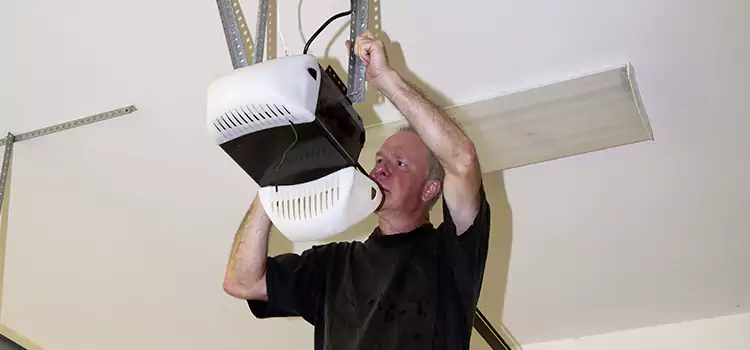 Garage Door Opener Service Woodridge