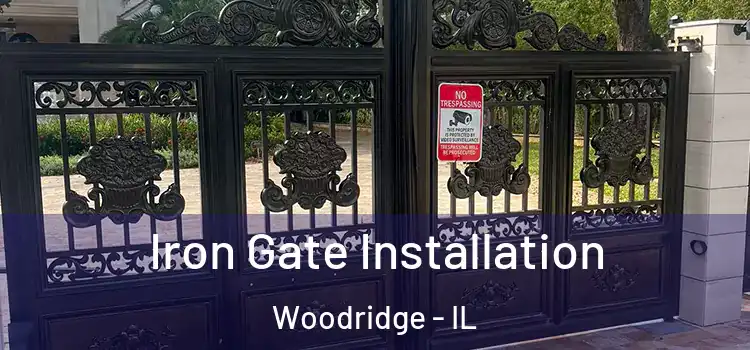 Iron Gate Installation Woodridge - IL