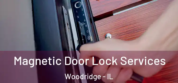  Magnetic Door Lock Services Woodridge - IL