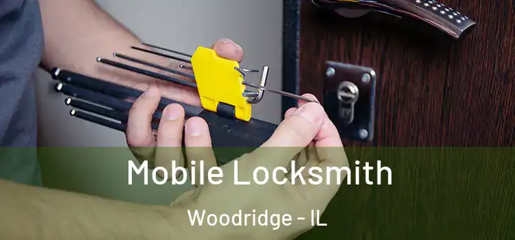  Mobile Locksmith Woodridge - IL