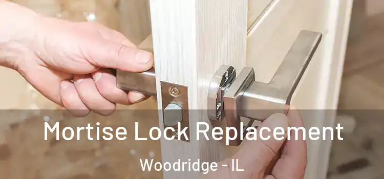Mortise Lock Replacement Woodridge - IL