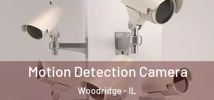  Motion Detection Camera Woodridge - IL