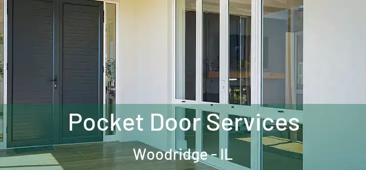 Pocket Door Services Woodridge - IL
