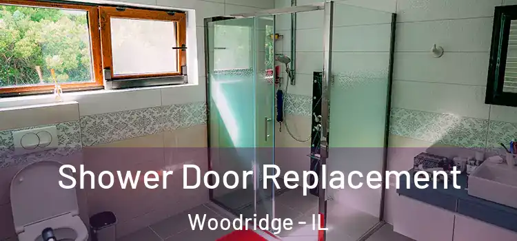 Shower Door Replacement Woodridge - IL