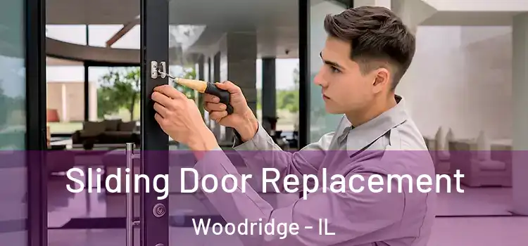  Sliding Door Replacement Woodridge - IL