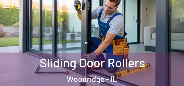 Sliding Door Rollers Woodridge - IL
