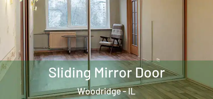  Sliding Mirror Door Woodridge - IL