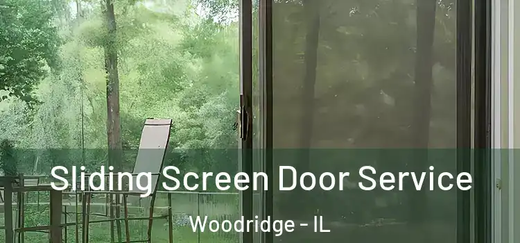  Sliding Screen Door Service Woodridge - IL